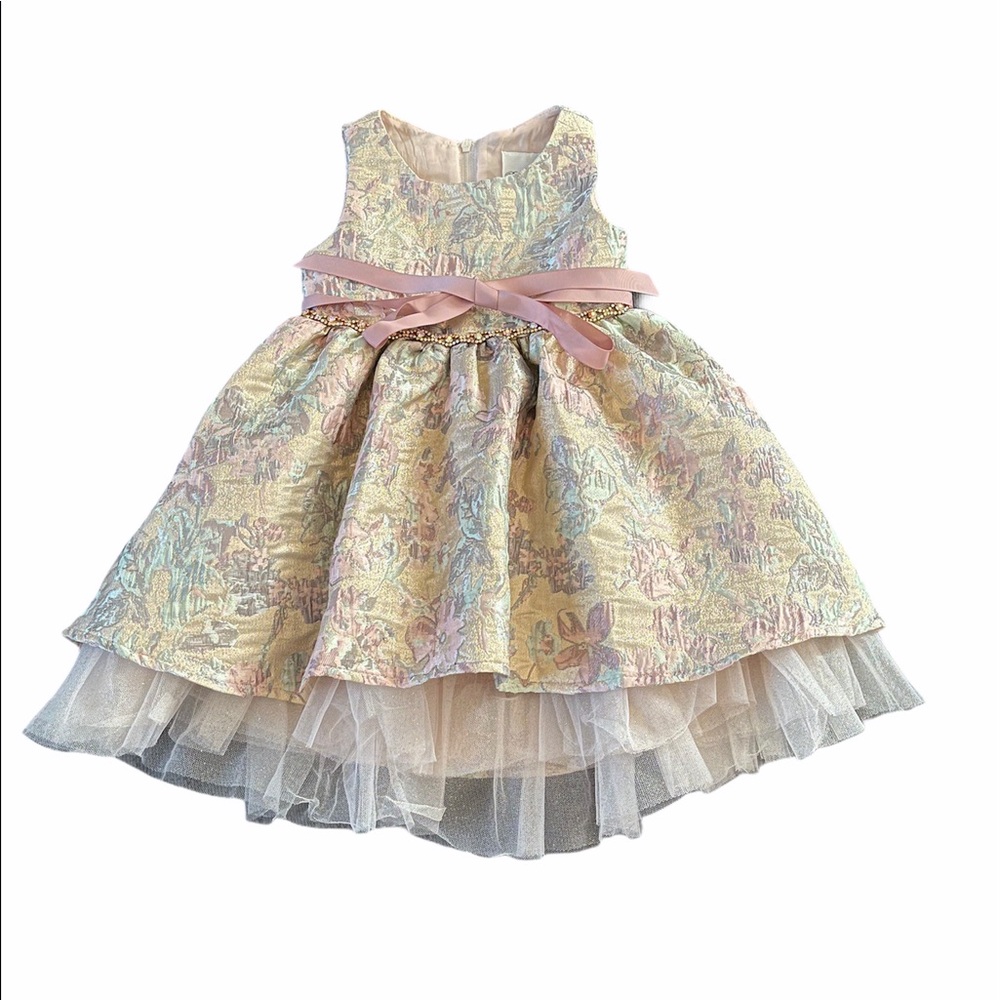 Rare editions toddler party dress size 2T - Picture 2 of 6